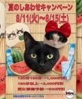 プリティーベイブ