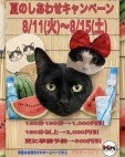 プリティーベイブ