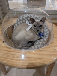 出勤しました❤ 日記