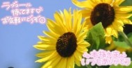 おはよう╰(*´︶`*) 日記