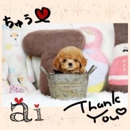あいです☆昨日(４月３０日水曜日)のありがとう☆ 日記
