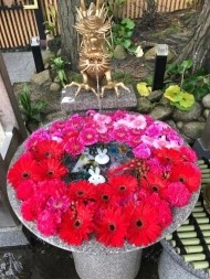 こんにちは(*ˊ˘ˋ*)。♪:*° 日記