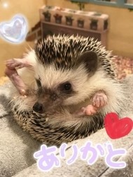 素敵な出会い✨ 日記