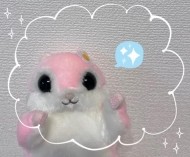 はじめまして(⑅•ᴗ•⑅) 日記
