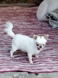 今日久々に😃 日記