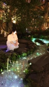 伝説 日記