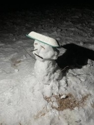 急遽ですが... 日記