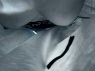 出勤しました… 日記