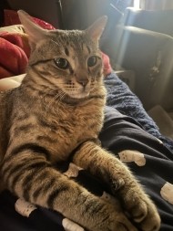 🐱❤️ 日記