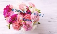 💌💌💌 日記