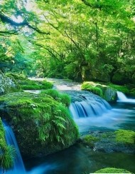 明日出勤します（＾Ｏ＾☆♪??? 日記