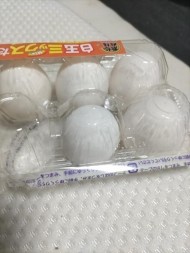 明日からお願い致します? 日記