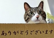 グランドヴィラIさん 日記