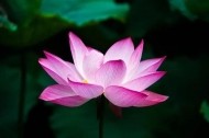みてね 日記