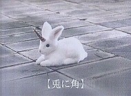 ( ・ x ・ ) 日記