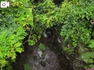 スペイン南部で、気温４６度 日記