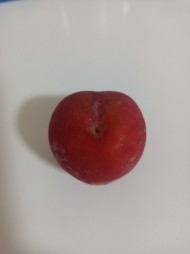 おはようございます 日記