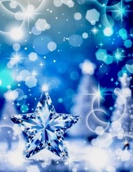 １２月🗓️　今年も残り１か月 日記