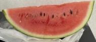 おはようございます(*´∀`)♪ 日記