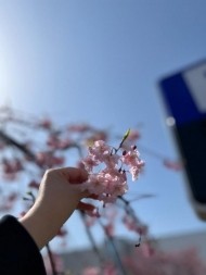 予定は未定？(  ߹꒳​߹ ) 日記