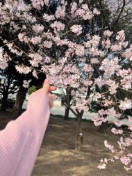 本日…♡ 日記