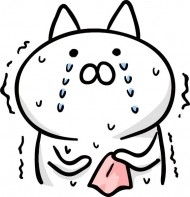 💔💔💔 日記
