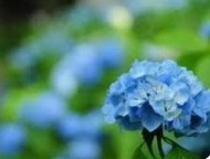 ありがとう 日記