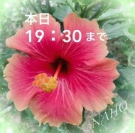 本日、UP時間の変更✨ 日記