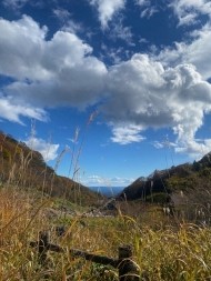 出勤予定アップしました? 日記