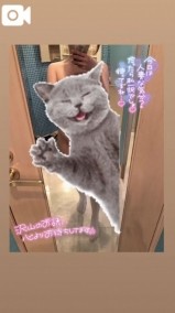 日記更新📖☡✍ 日記