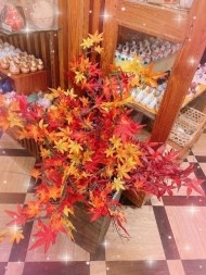 昨日は有難うございました😉❤️ 日記