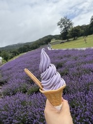 🍦🍦🍦 日記