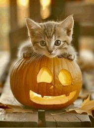 風が強い1日🌬️🌬️ 日記