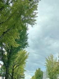 秋ですね(*^▽^*) 日記