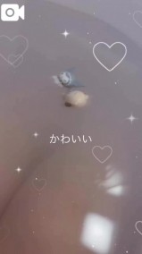 お休みの日何してる？ 日記