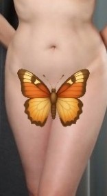 こんばんは〜 日記