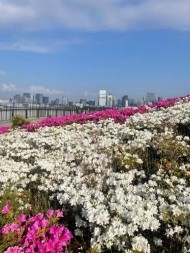 ５月 日記