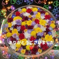 Kさんこんにちは🙂 日記