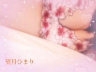 セーラのK様 日記