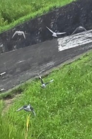おつ・・・ 日記