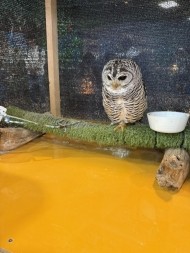 極上密着スパで癒やしちゃいます💕 日記