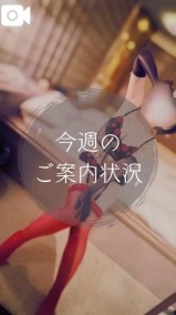 💛 今週、ご案内可能です🙆‍♀️🍀 日記