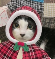 今年もありがとうございました♡ 日記