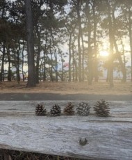 本日ご予約してくださったみなさまへ 日記