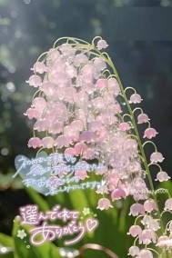 先ほどのお礼 日記