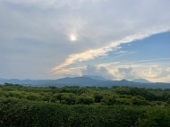 きました 日記