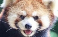 前回と今日のおれい 日記