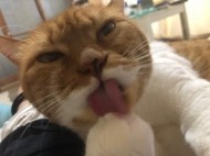 少しだけ 日記
