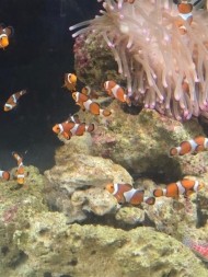 もに・・・ 日記