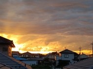 パックンちょ 日記